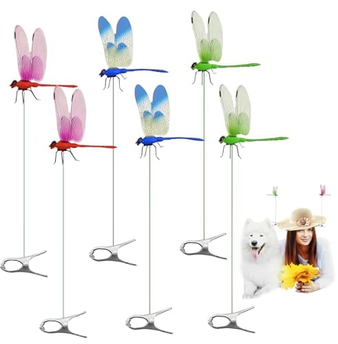 6 Pack Dragonfly ( $4/Count )