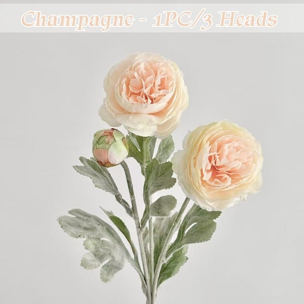 🔥Champagne,1 Bundle