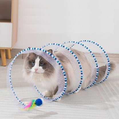 Kivori Cat Spiral™