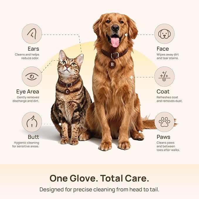 BFF PETS Deodorizing Cat & Dog GroomingGlove Wipes