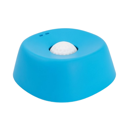 1 Slow Feeder Bowl